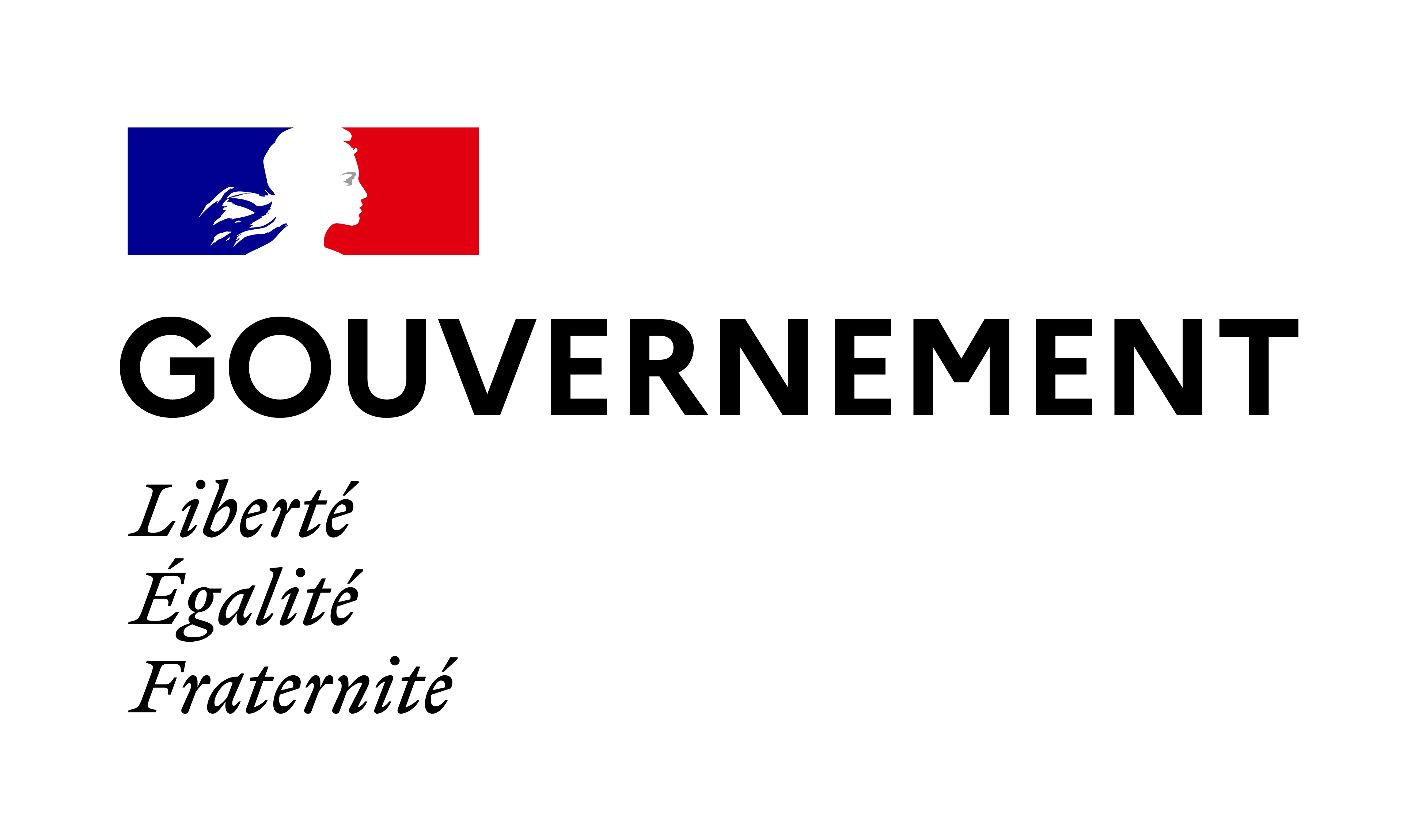 Logo Gouvernement français